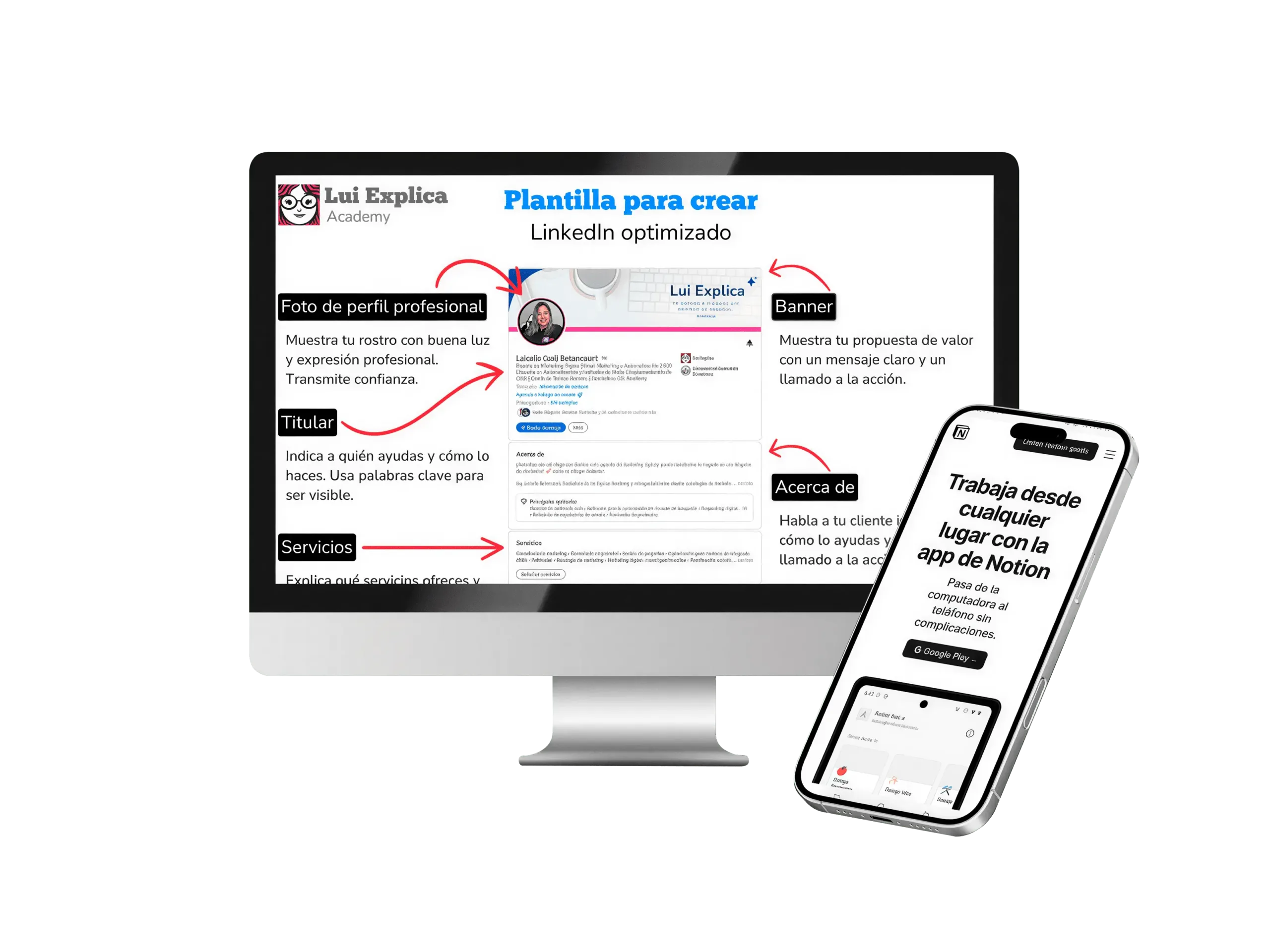 plantillas
